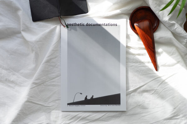 aesthetic documentations vol. I